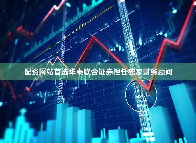 配资网站首选华泰联合证券担任独家财务顾问