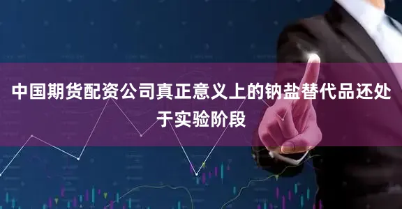 中国期货配资公司真正意义上的钠盐替代品还处于实验阶段