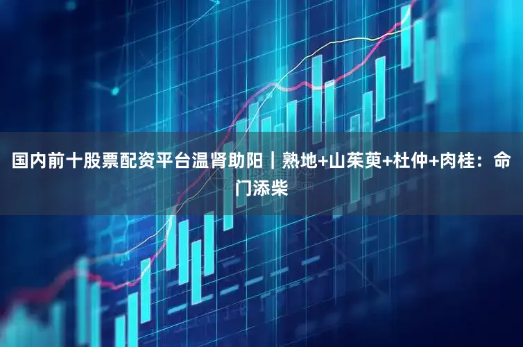 国内前十股票配资平台温肾助阳｜熟地+山茱萸+杜仲+肉桂：命门添柴