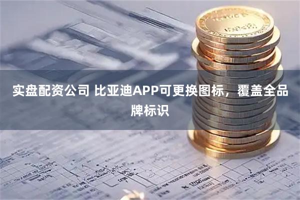 实盘配资公司 比亚迪APP可更换图标，覆盖全品牌标识