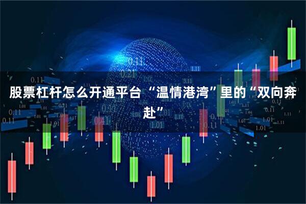 股票杠杆怎么开通平台 “温情港湾”里的“双向奔赴”