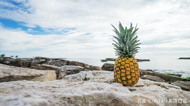 凤梨和菠萝谁才是pineapple舌头又麻又痛,英语怎么说插图(2)