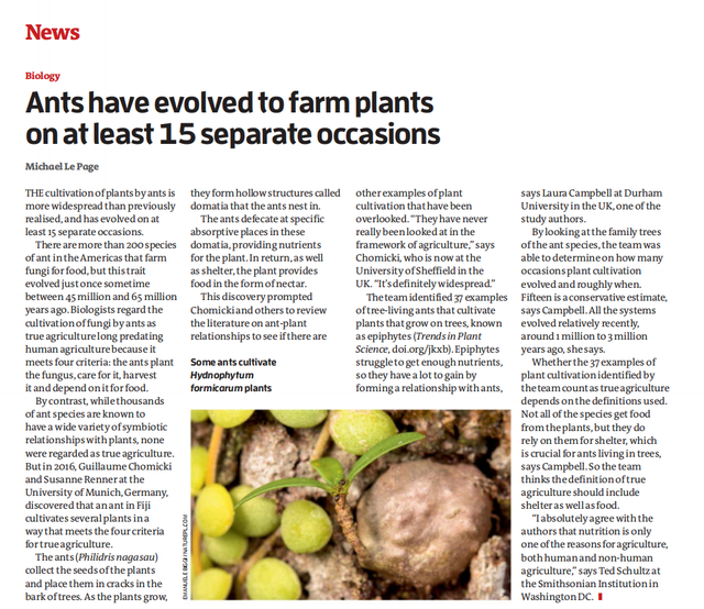 外刊新科学家(NewScientist)外刊杂志PDF英语外刊精读pdf插图(5)