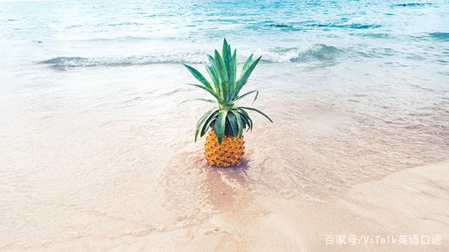 凤梨和菠萝谁才是pineapple舌头又麻又痛,英语怎么说插图